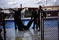 Everyone in the Pool